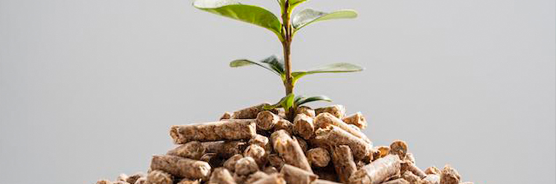 Compostable Packaging: What Is It? Compostable Packaging: What Is It?