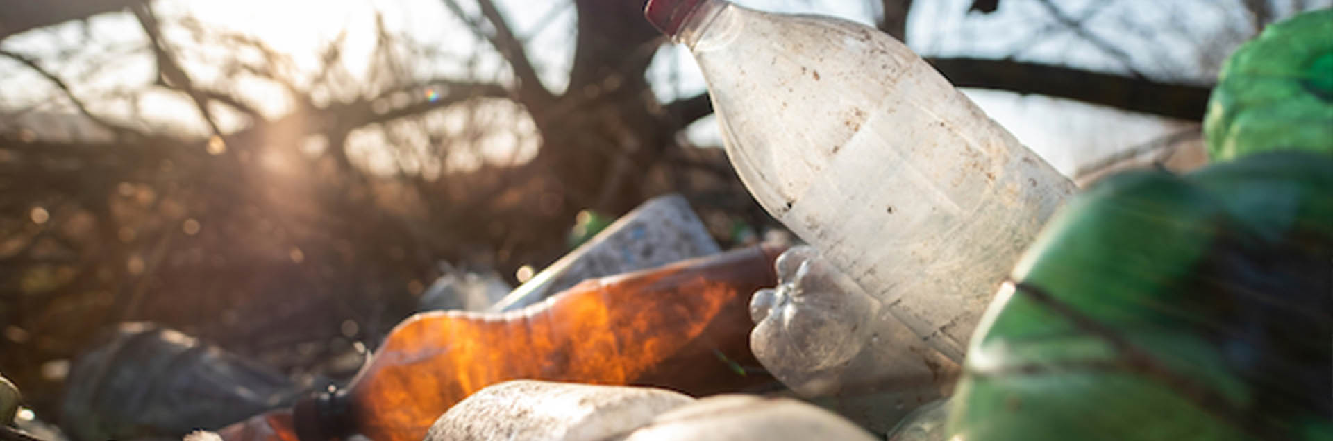 How Plastic Affects the Compost? How Plastic Affects the Compost?